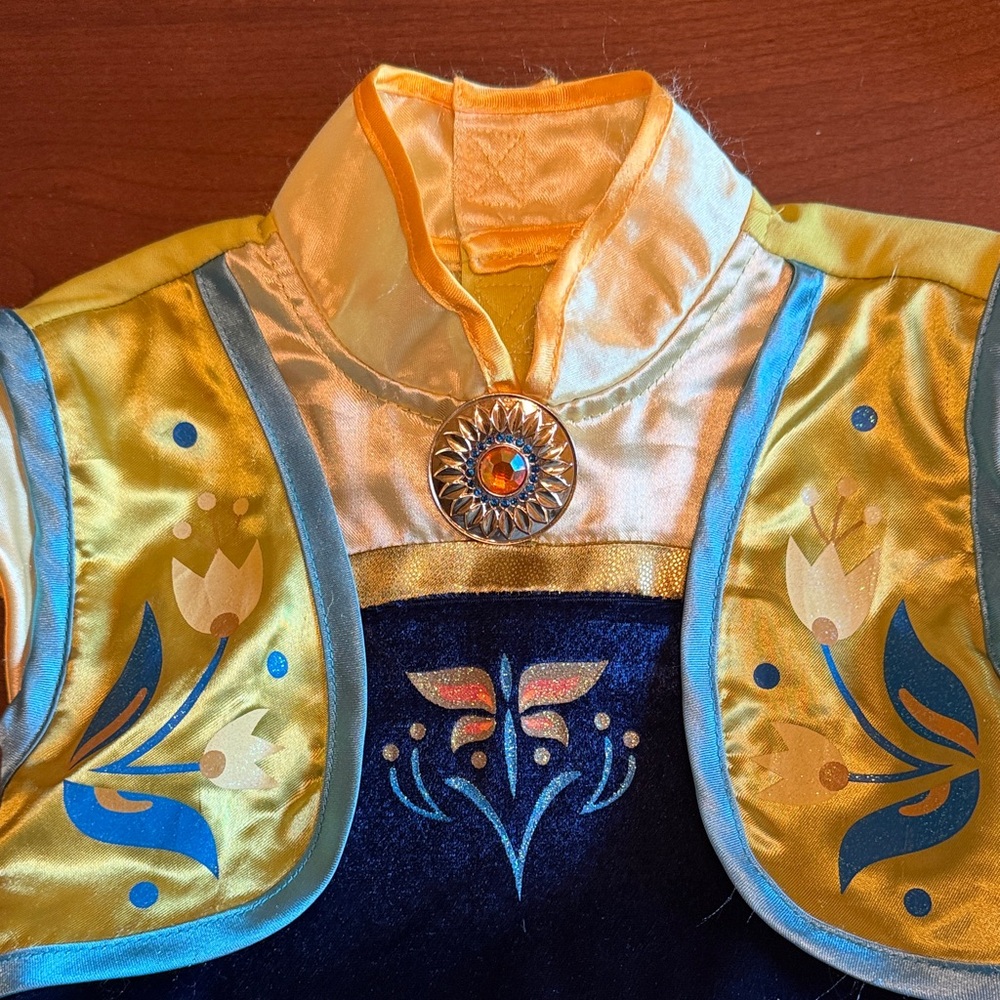 Kids Frozen (Anna’s Coronation) Blue and Yellow Costume Dress - Picture 3 of 4